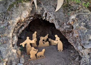 Sala Consilina: il 9 dicembre la tradizionale benedizione del “Presepe nell’albero monumentale”