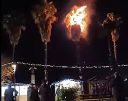 Palma incendiata lungo la spiaggia di Santa Teresa a Salerno