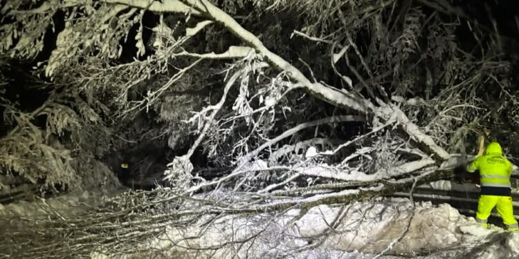 Alberi sulla carreggiata. Chiusa al traffico la strada tra Montesano e Moliterno. Disagi anche per l’interruzione di energia elettrica