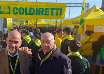 Prevenzione della brucellosi bufalina: Coldiretti Campania invita alla disinfezione delle stalle