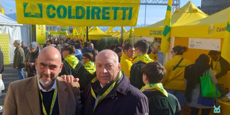 Prevenzione della brucellosi bufalina: Coldiretti Campania invita alla disinfezione delle stalle