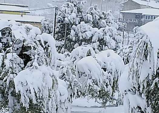 Maltempo in Basilicata: danni alle colture e disagi nel ritiro del latte dagli allevamenti
