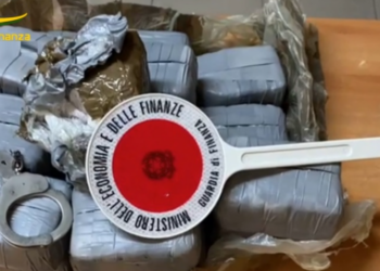 Traffico di droga tra Italia e Spagna. Sequestrati 300 kg di droga: arresti anche nel salernitano
