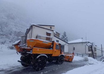Alberi caduti e strade bloccate, tanti i disagi causati dalla neve in Basilicata
