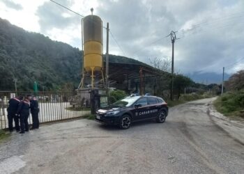 Sequestrato un impianto abusivo di conglomerati in calcestruzzo  Santa Marina: l’operazione dei Carabinieri Forestali