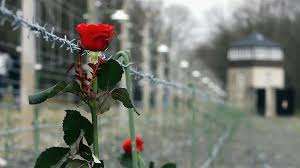 Giorno della Memoria: il Prefetto di Salerno consegnerà una Medaglia D’Onore anche a Giuseppe Ferro di Sassano