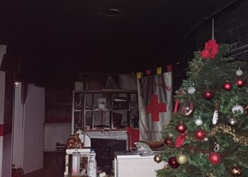 Potrebbe essere un'immagine raffigurante illuminazione e albero di Natale
