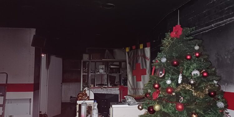 Potrebbe essere un'immagine raffigurante illuminazione e albero di Natale