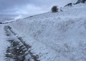 Neve e alberi caduti: chiusa la strada che collega Sacco e Teggiano