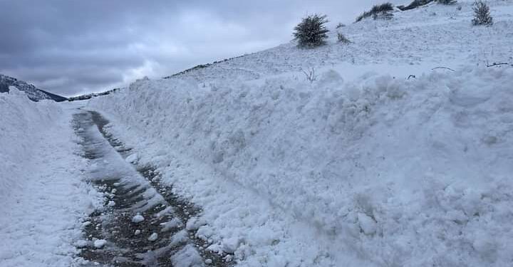 Neve e alberi caduti: chiusa la strada che collega Sacco e Teggiano