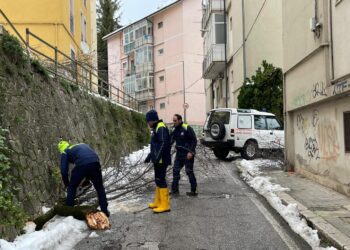 Emergenza neve. Sospese le attività didattiche nelle scuole di Potenza. Riprendono all’Unibas