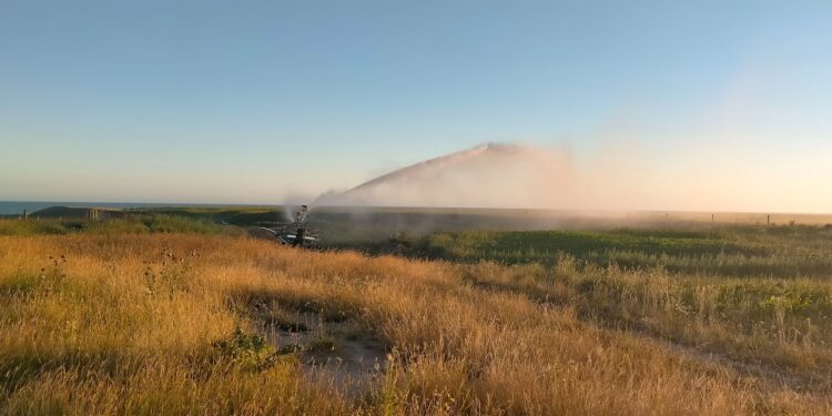Preoccupazione per la stagione irrigua a Montalbano Jonico: urgente un tavolo di trattativa con la Regione Puglia