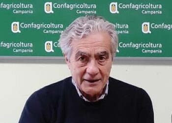 A Battipaglia convegno organizzato da Confagricoltura: “Il futuro dei reflui zootecnici: normativa vigente e opzioni sostenibili”