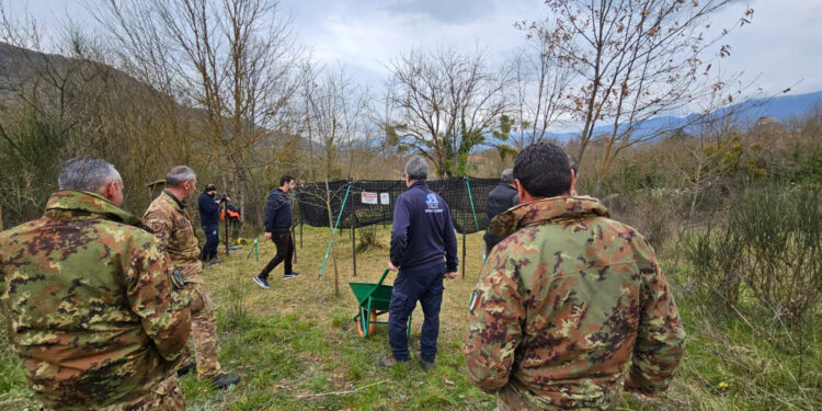 Summit in Prefettura per affrontare l’emergenza della peste suina africana nel salernitano