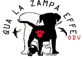 Qua la Zampa Effe festeggia 9 anni di impegno contro il randagismo nel Vallo di Diano