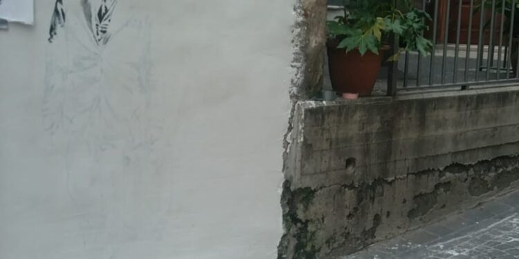 Monte San Giacomo terra di migranti: Emanuele Sabatino al lavoro per il murales di Gherardo Marone 