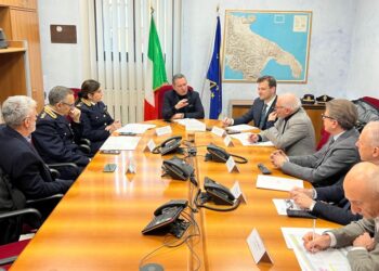 Carcasse di animali sulla Sicignano-Potenza: vertice in Prefettura