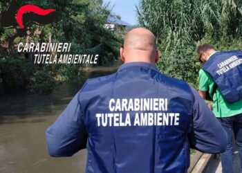 A Matera sequestrato stabilimento edile per gestione illecita di rifiuti