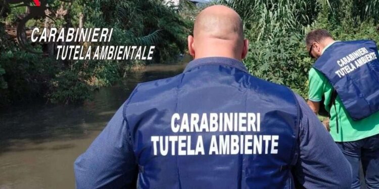 A Matera sequestrato stabilimento edile per gestione illecita di rifiuti