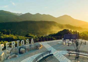 Finanziamento da 5 milioni di euro per il carciofo a Pertosa. Iannone chiede l’intervento del ministro Lollobrigida