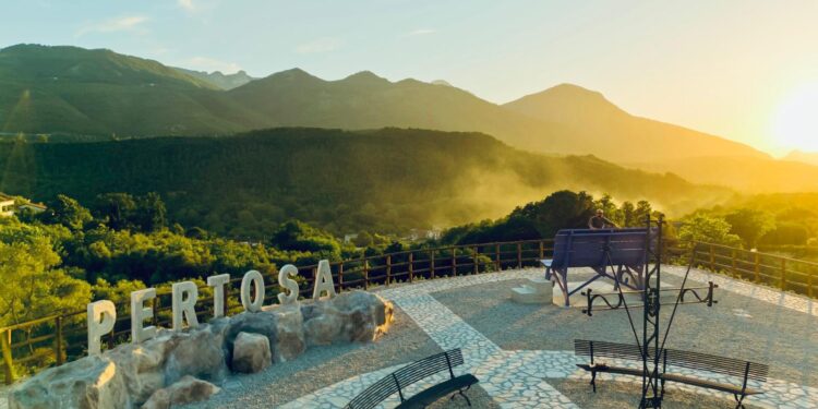 Finanziamento da 5 milioni di euro per il carciofo a Pertosa. Iannone chiede l’intervento del ministro Lollobrigida