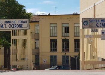 Incontro divulgativo sui cereali antichi del Vallo di Diano: tradizione e innovazione a confronto