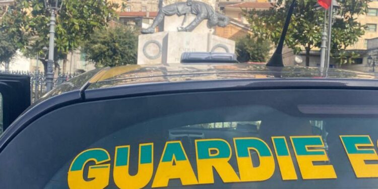 Cava De’ Tirreni: denunciata una donna per traffico illecito di cani