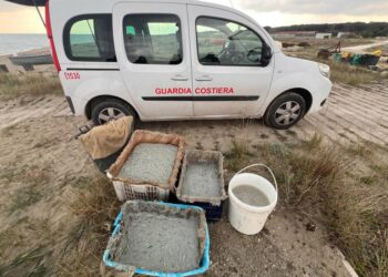 Pesca illegale a Pisticci, la Guardia Costiera sequestra 100  chili di novellame di sarda