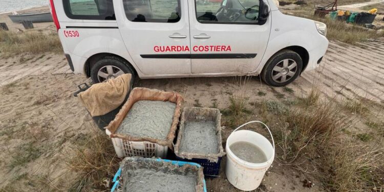 Pesca illegale a Pisticci, la Guardia Costiera sequestra 100  chili di novellame di sarda