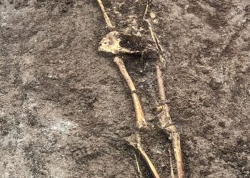 Due sepolture dell’epoca tardo romana scoperte durante uno scavo ad Atena Lucana