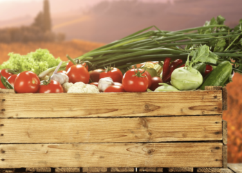 Agricoltura, la Campania cresce nella coltura protetta del pomodoro da mensa. Confagricoltura: “Nuove sfide all’orizzonte”