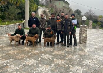 Lotta alla Peste Suina Africana nel territorio del Parco del Cilento, Vallo di Diano e Alburni: continua l’attività di monitoraggio