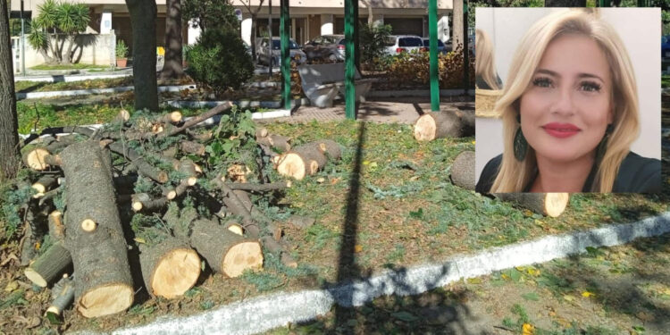 Roccapiemonte, alberi abbattuti senza autorizzazione: la denuncia della consigliera Luisa Trezza