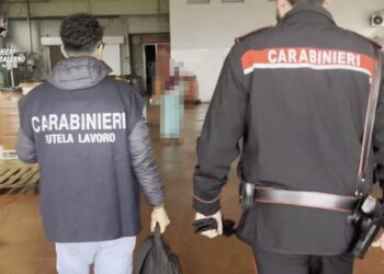 Controllo straordinario dei Carabinieri nell’agro nocerino sarnese: un arresto e 6 denunce