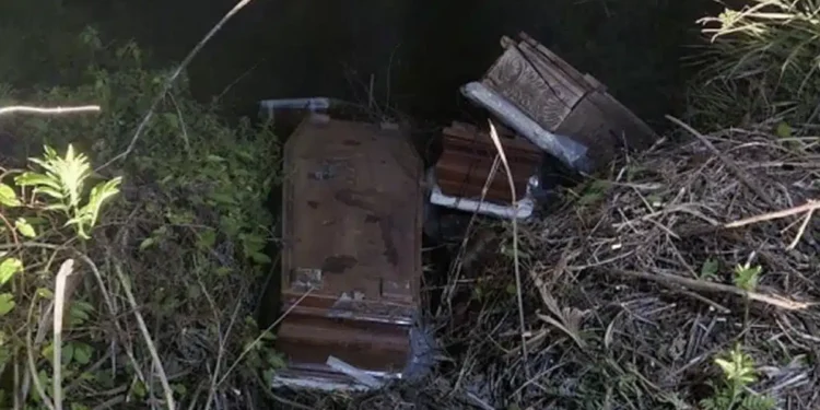 A Cicerale bare abbandonante in mezzo alla vegetazione