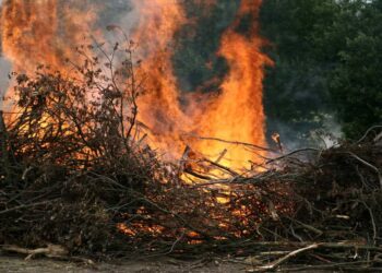 Viene travolto dalle fiamme mentre brucia sterpaglie: 55enne di San Gregorio Magno ricoverato al Cardarelli