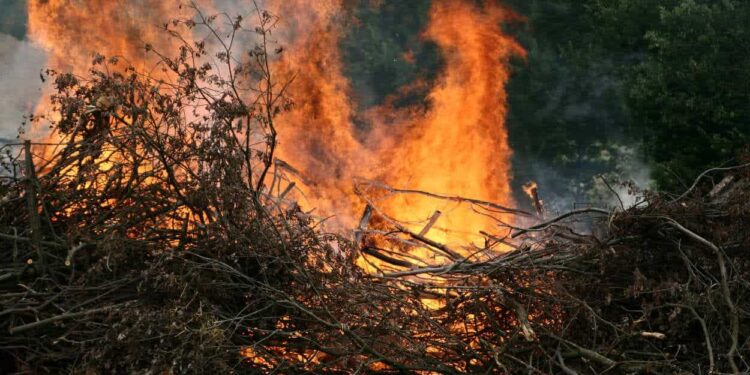 Viene travolto dalle fiamme mentre brucia sterpaglie: 55enne di San Gregorio Magno ricoverato al Cardarelli