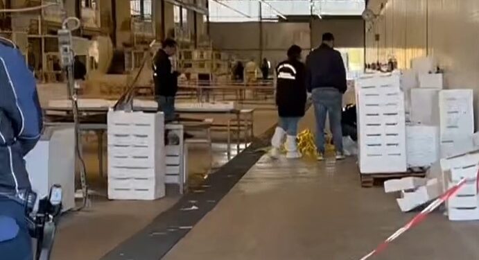 Omicidio al mercato ittico di Salerno: disposto il giudizio immediato per Francesco Iacovazzo