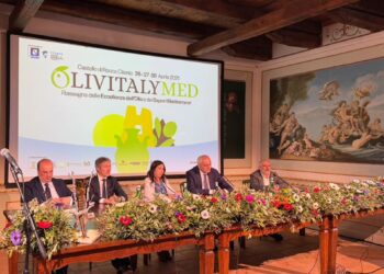 Successo per la seconda edizione di Olivitaly Med: il Castello di Rocca Cilento celebra l’extravergine, re della Dieta Mediterranea