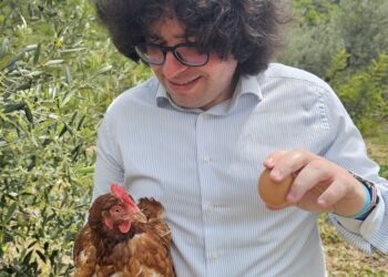 Le uova (e le galline) etiche per resistere tra le colline cilentane