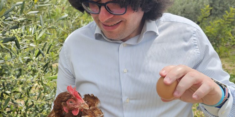 Le uova (e le galline) etiche per resistere tra le colline cilentane