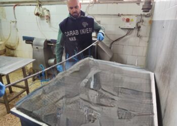 Sequestrato uno stabilimento per la lavorazione delle carni a Pagani