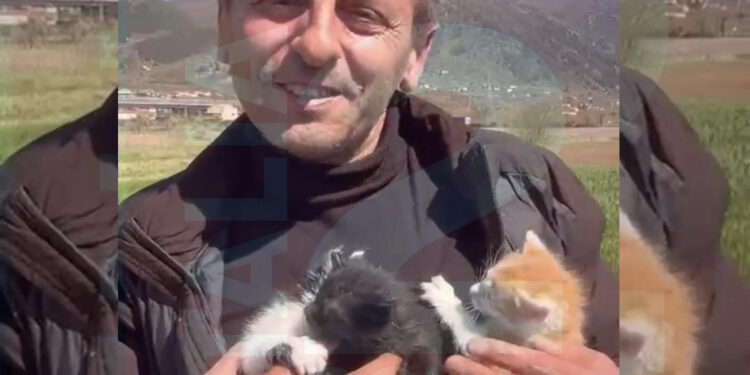 Tre gattini condannati alla morte e salvati da un eroe silenzioso: il gesto di Enzo Vespoli