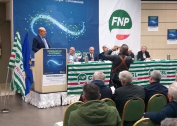 Destinati 23 milioni di euro per i servizi agli anziani e alle persone con fragilità in Basilicata