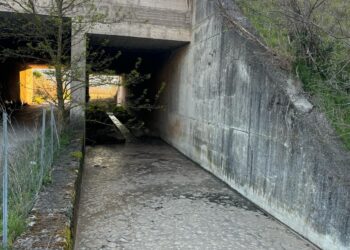 Inquinamento e rifiuti abbandonati a Sala Consilina: la denuncia della guardia agroforestale
