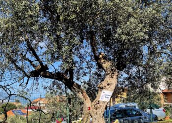 Incidente mortale a Roscigno: ok dal Consolato Gambiano, la salma di Ebrima verrà espatriata