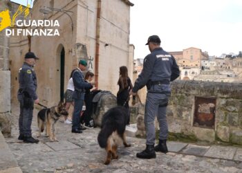 Tre minori arrestati per spaccio di droga: l’operazione della Guardia di Finanza di Matera