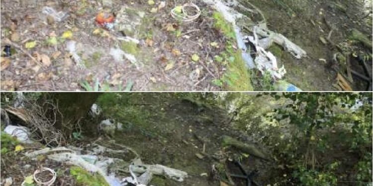 Operazione di bonifica nel fiume Calore: a Buonabitacolo vittoria contro il degrado ambientale