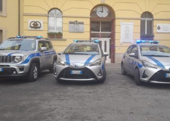 Potenza, controlli a tappeto su deiezioni canine e rifiuti: fioccano le multe