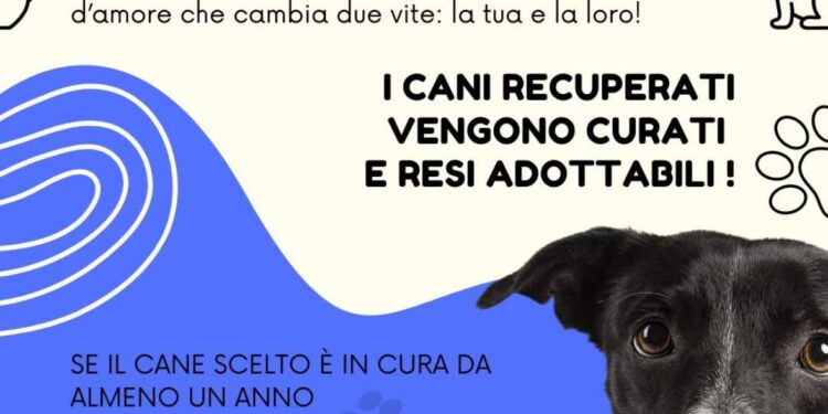 Sicignano degli Alburni. Contributi economici a chi sterilizza o adotta un cane